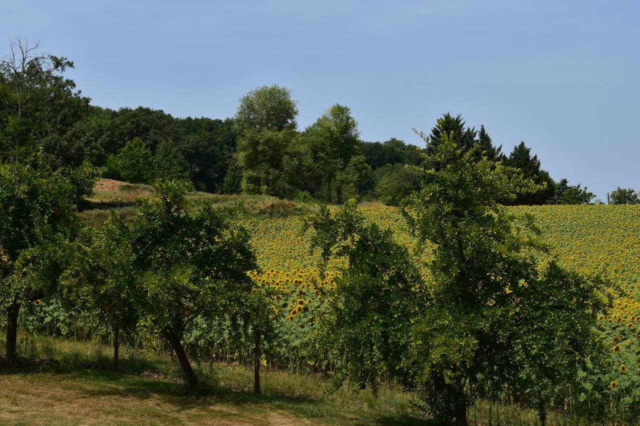 לינה וארוחת בוקר Dolmayrac Domaine De Calbiac מראה חיצוני תמונה