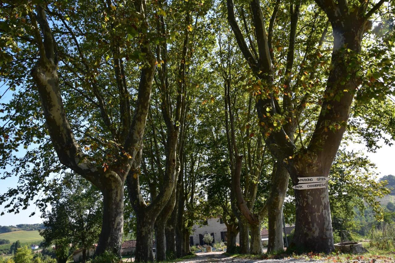 לינה וארוחת בוקר Dolmayrac Domaine De Calbiac מראה חיצוני תמונה