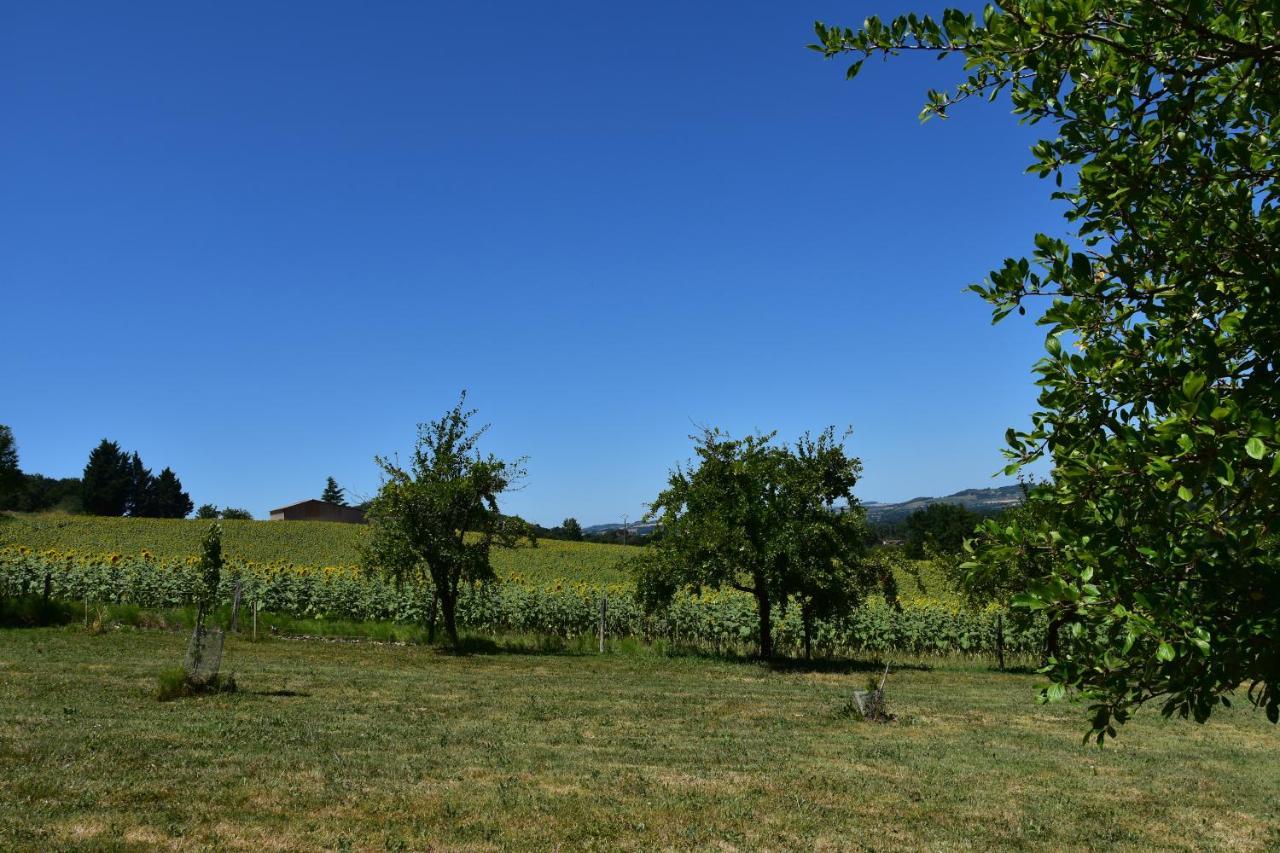 לינה וארוחת בוקר Dolmayrac Domaine De Calbiac מראה חיצוני תמונה